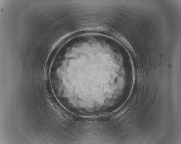 X0000085750628200703301403