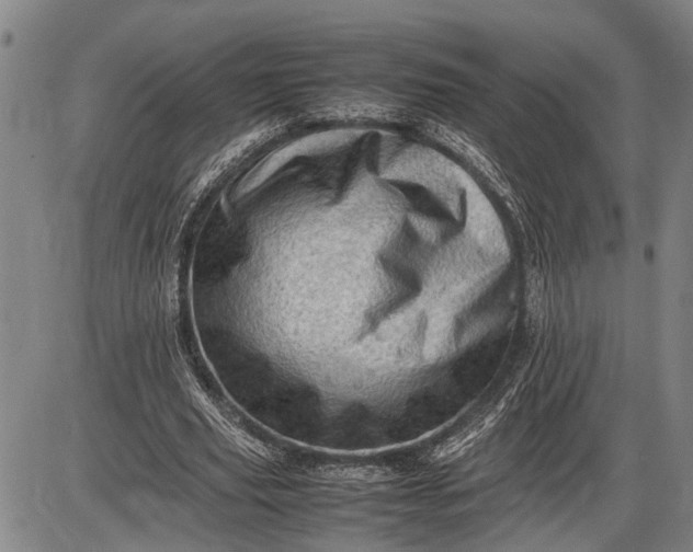 X0000085750629200703301403