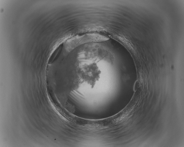 X0000085750630200703301403