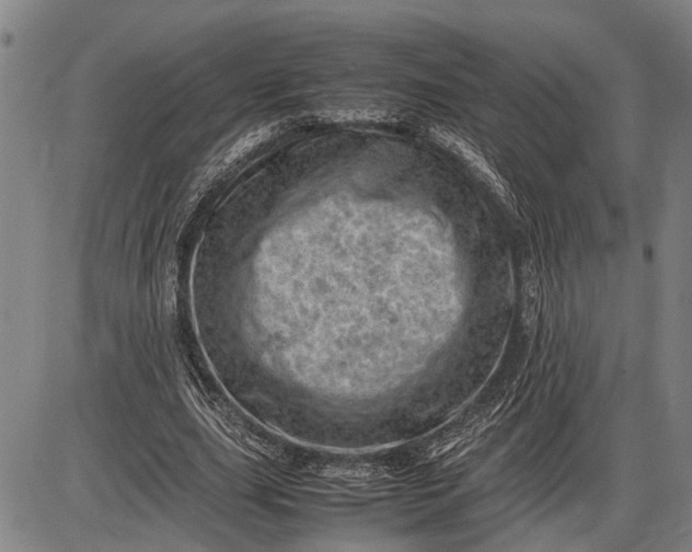 X0000085750631200703301403