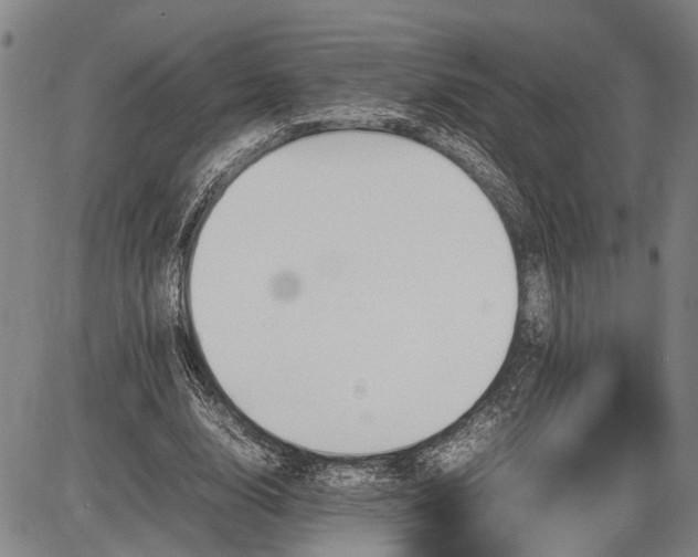 X0000085750632200703301403