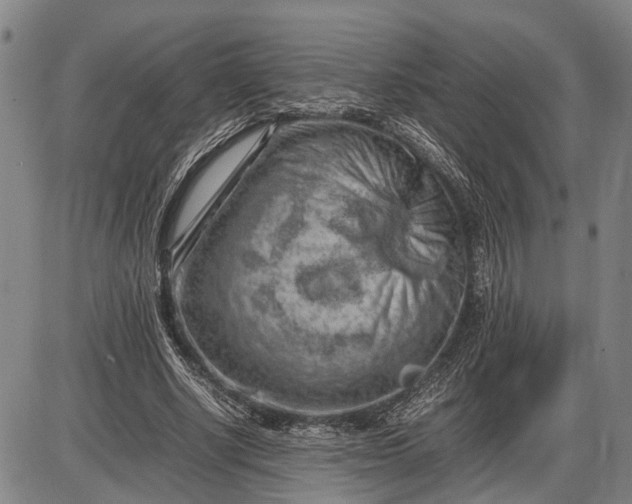 X0000085750634200703301403