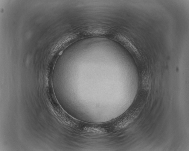 X0000085750635200703301403