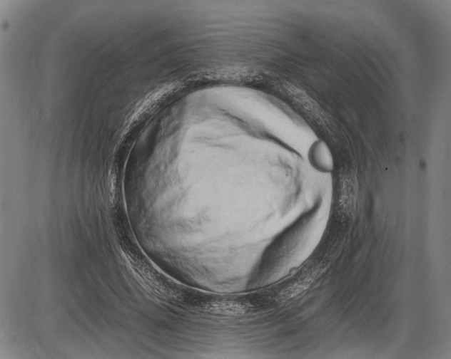 X0000085750636200703301403