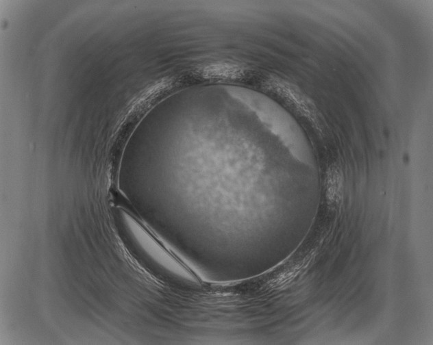 X0000085750637200703301403