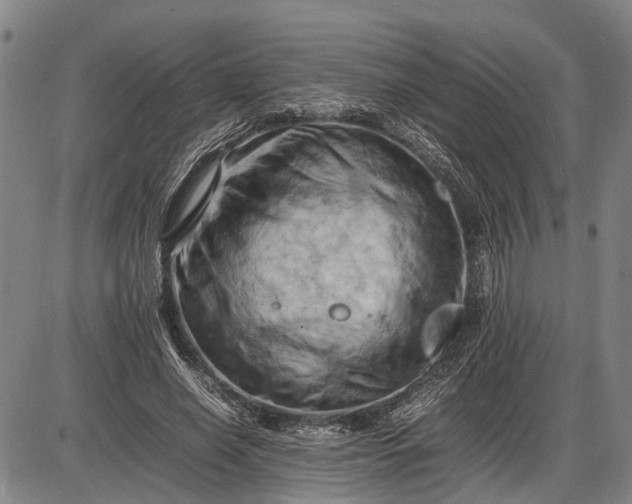 X0000085750638200703301403