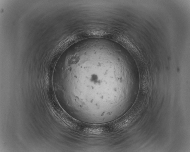 X0000085750639200703301403