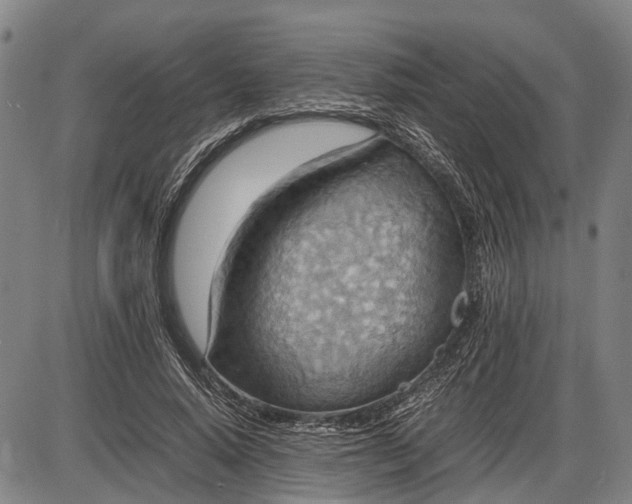 X0000085750640200703301403