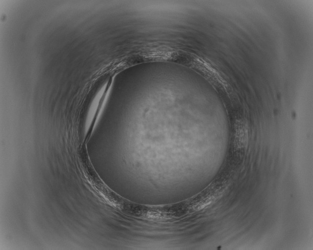 X0000085750641200703301403