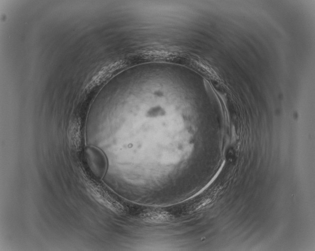 X0000085750642200703301403