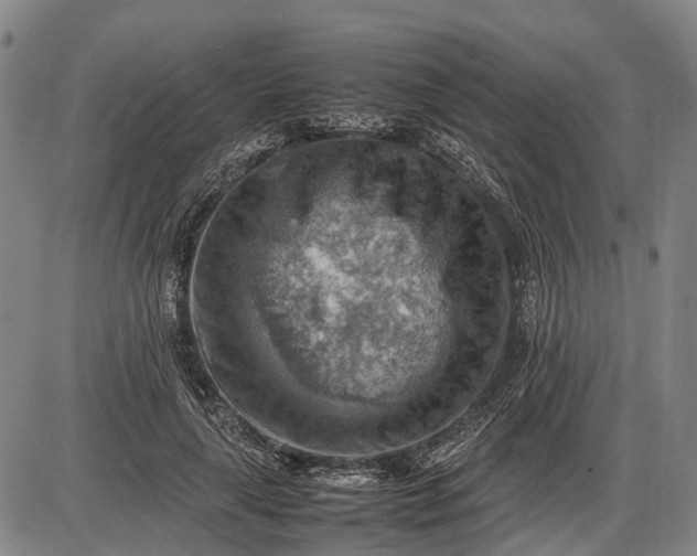 X0000085750643200703301403