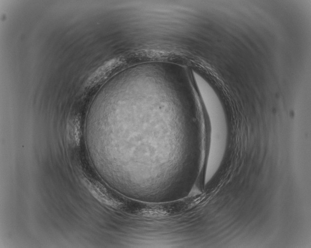 X0000085750644200703301403