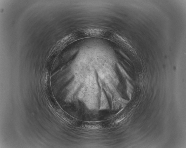 X0000085750645200703301403