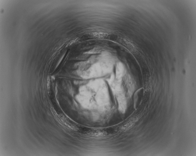 X0000085750646200703301403