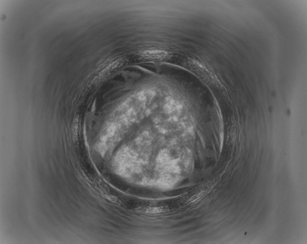 X0000085750647200703301403