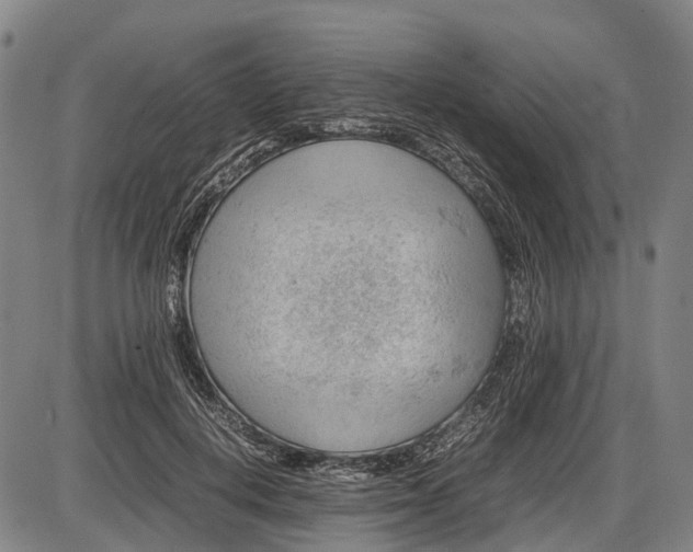 X0000085750648200703301403