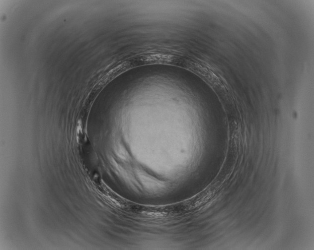 X0000085750649200703301403