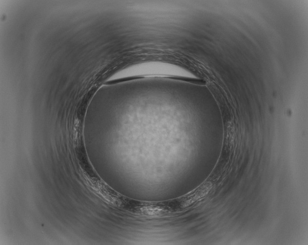 X0000085750650200703301403