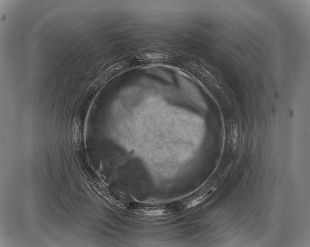 X0000085750651200703301403