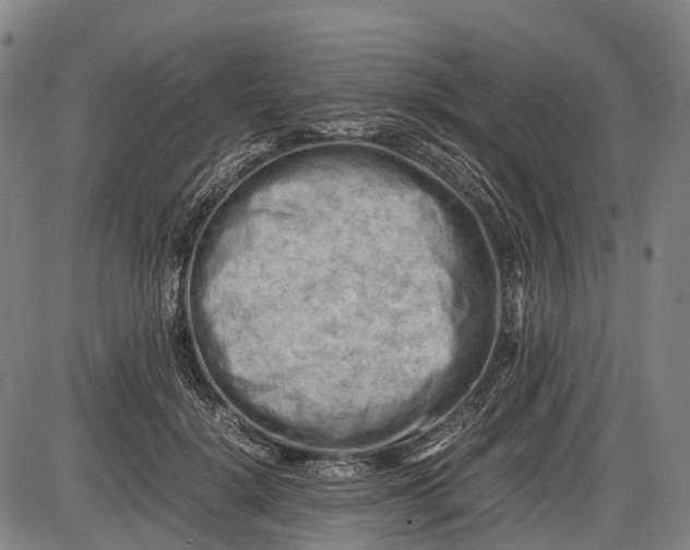 X0000085750652200703301403