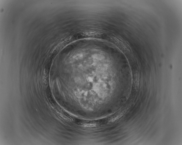 X0000085750653200703301403