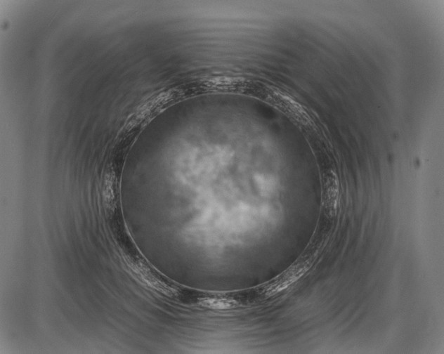 X0000085750654200703301403