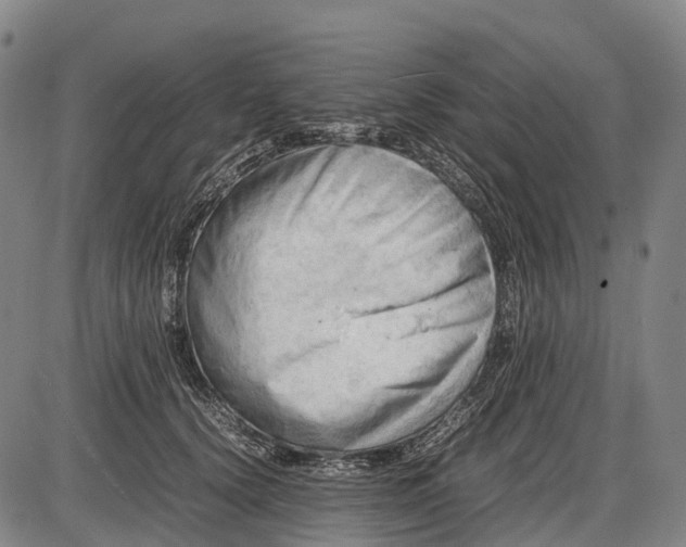 X0000085750656200703301403