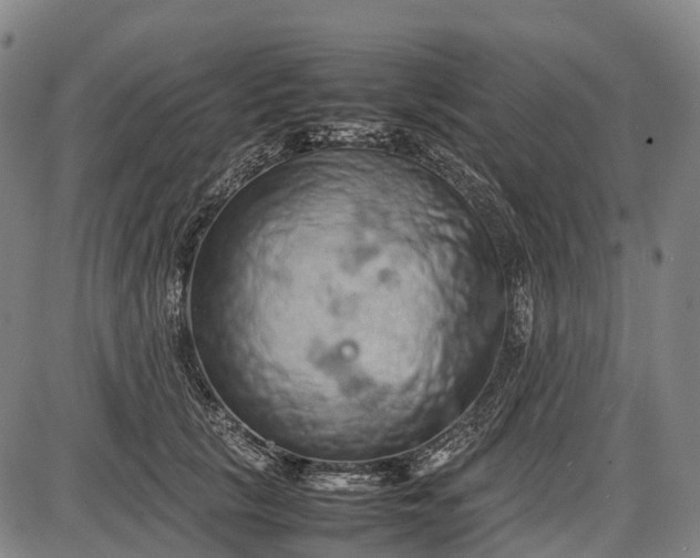 X0000085750657200703301403