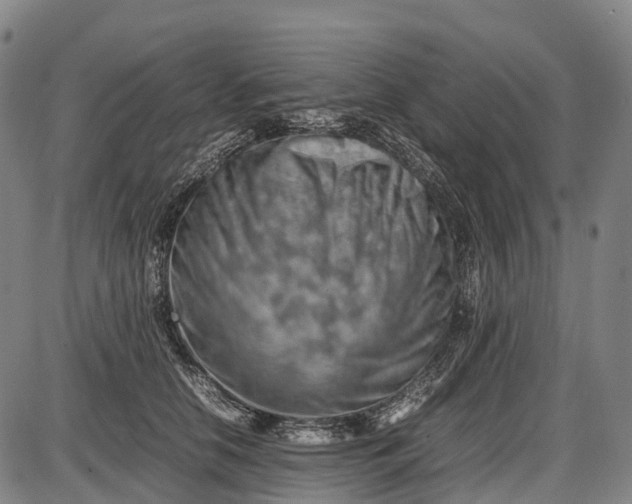 X0000085750658200703301403