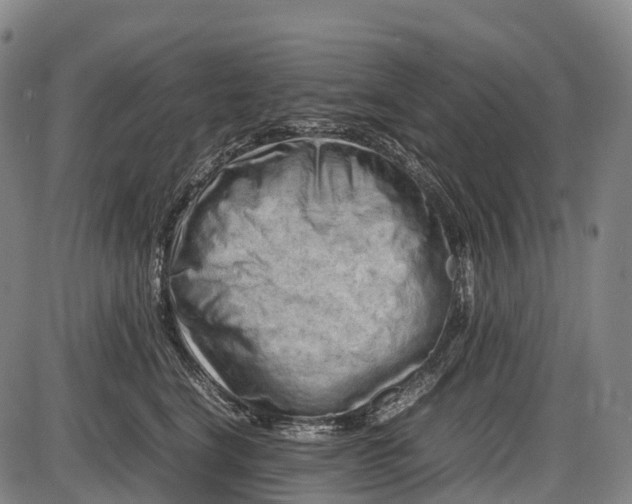 X0000085750664200703301404