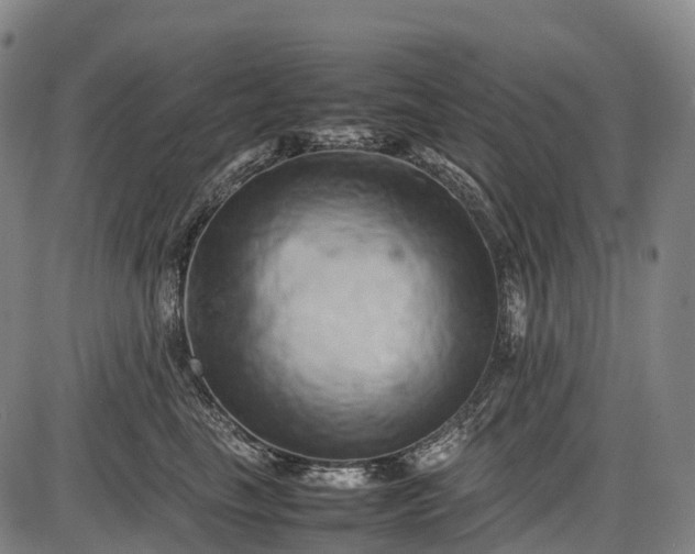 X0000085750665200703301404