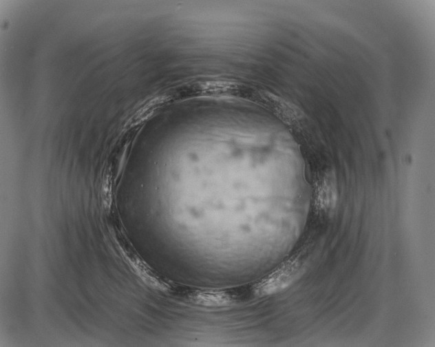 X0000085750666200703301404