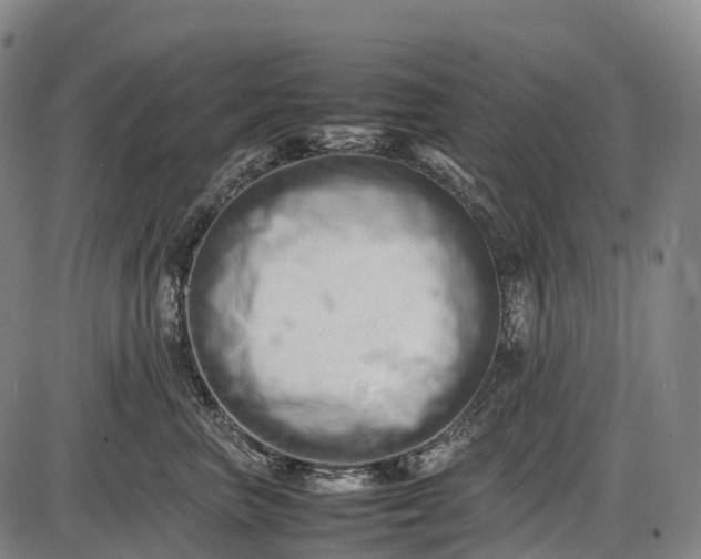 X0000085750667200703301404