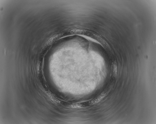 X0000085750668200703301404