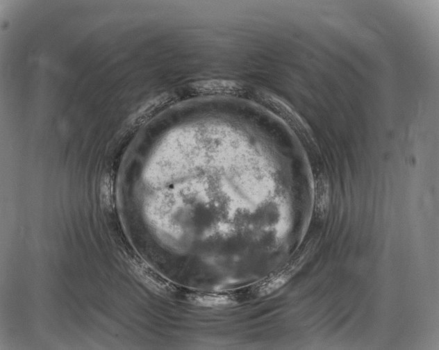 X0000085750669200703301404