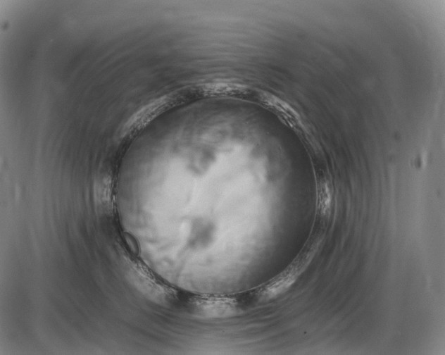 X0000085750670200703301404