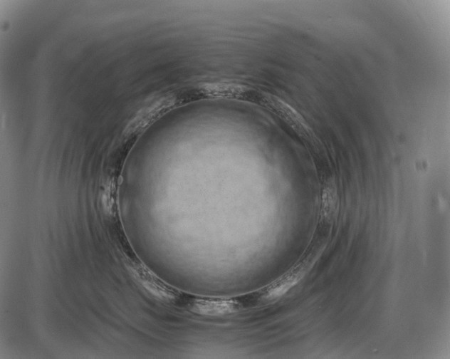 X0000085750671200703301404