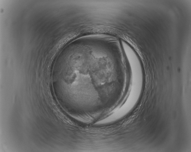 X0000085750673200703301403