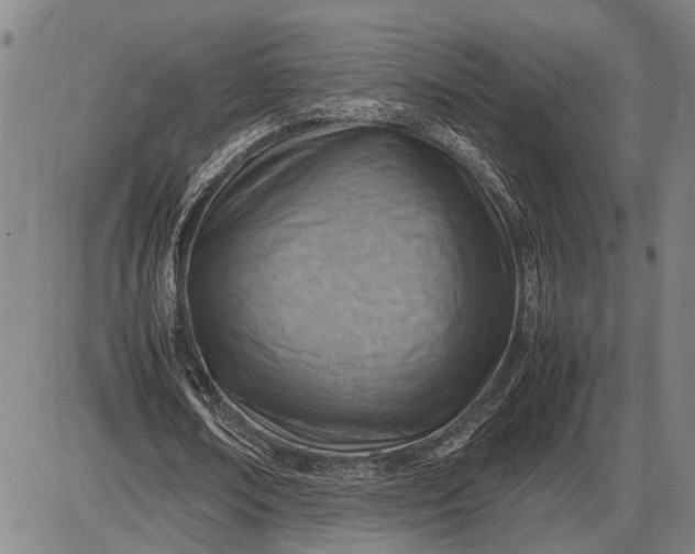 X0000085750674200703301403