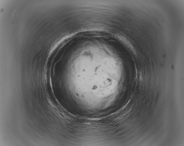 X0000085750676200703301403