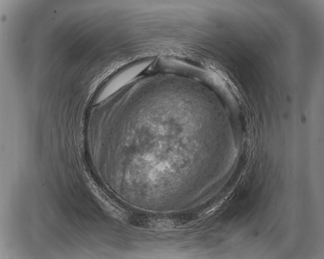 X0000085750677200703301403