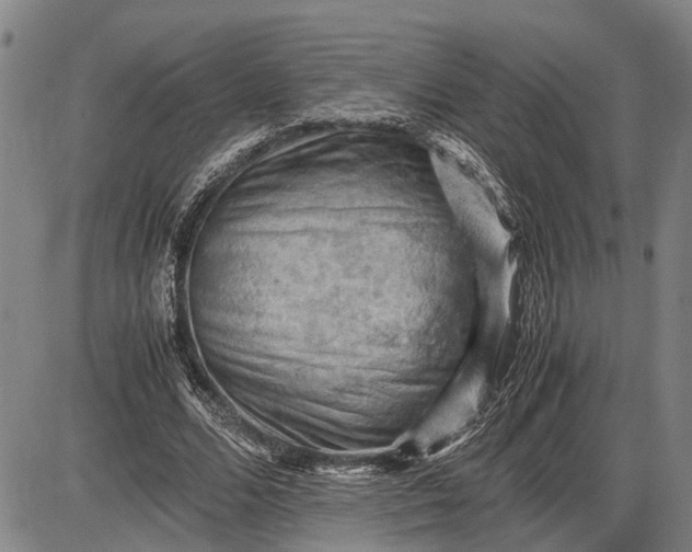 X0000085750680200703301403