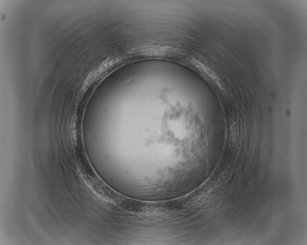 X0000085750682200703301403