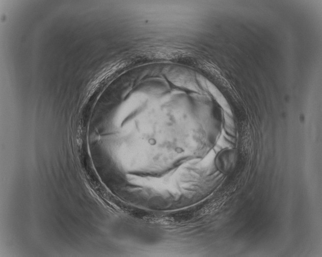 X0000085750683200703301403