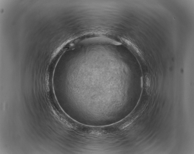 X0000085750684200703301403