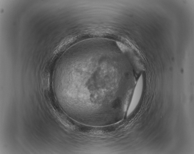 X0000085750685200703301403