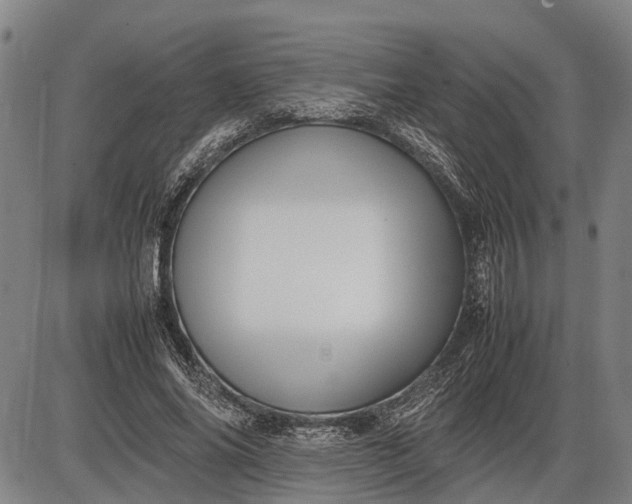 X0000085750686200703301403