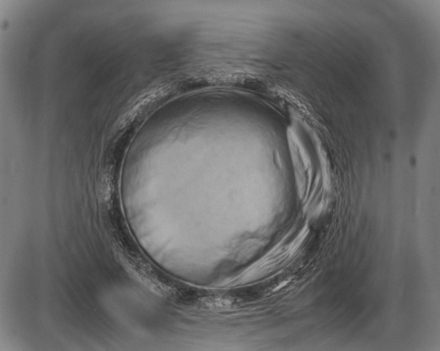 X0000085750687200703301403