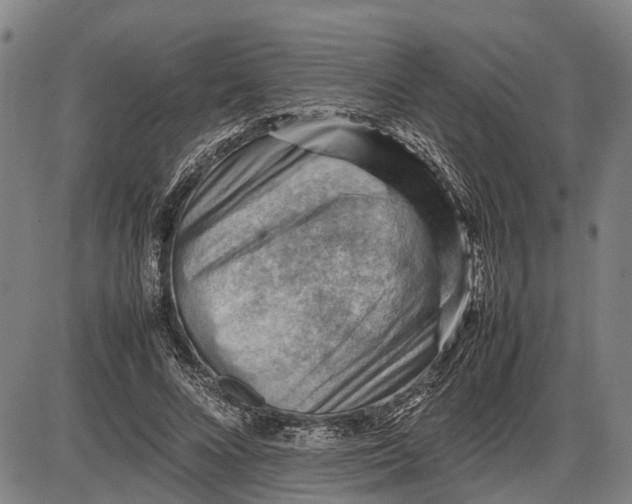 X0000085750688200703301403