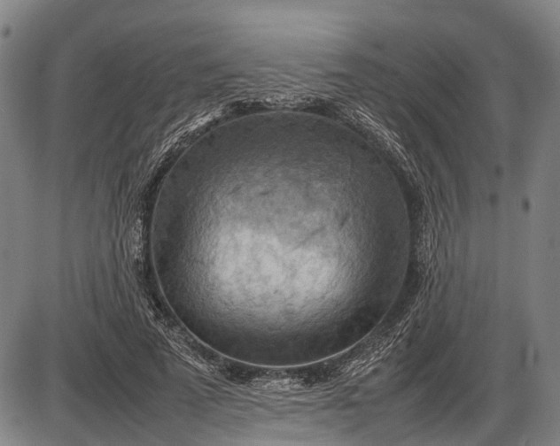 X0000085750689200703301403